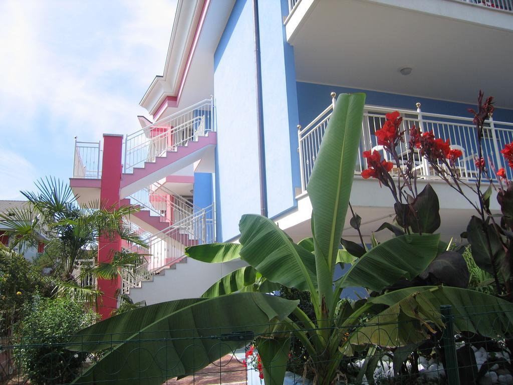 Villa Boer บิบิโอเน ภายนอก รูปภาพ